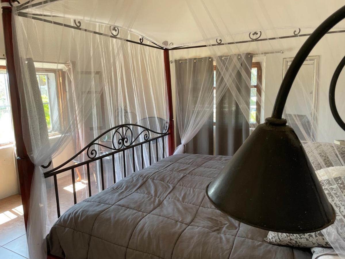 Casa Wong Lägenhet Todos Santos Exteriör bild